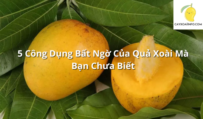 5 Công Dụng Bất Ngờ Của Quả Xoài Mà Bạn Chưa Biết