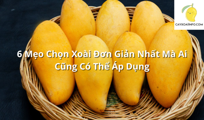 6 Mẹo Chọn Xoài Đơn Giản Nhất Mà Ai Cũng Có Thể Áp Dụng