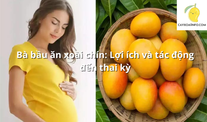 Bà bầu ăn xoài chín: Lợi ích và tác động đến thai kỳ