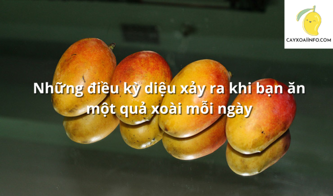 Những điều kỳ diệu xảy ra khi bạn ăn một quả xoài mỗi ngày