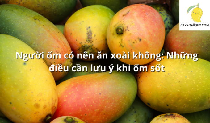 Người ốm có nên ăn xoài không: Những điều cần lưu ý khi ốm sốt