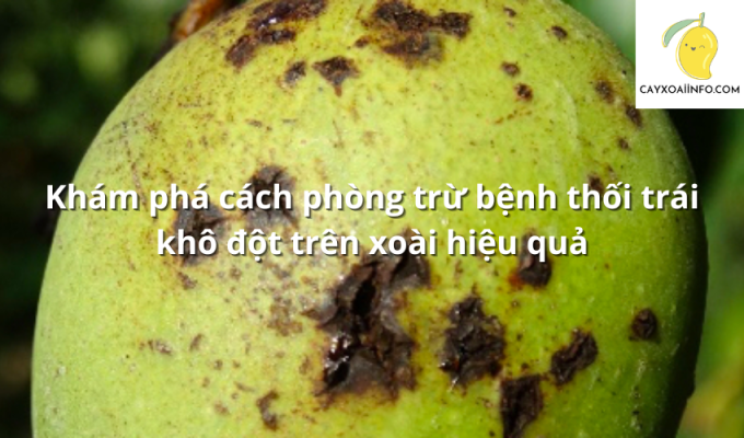 Khám phá cách phòng trừ bệnh thối trái khô đột trên xoài hiệu quả