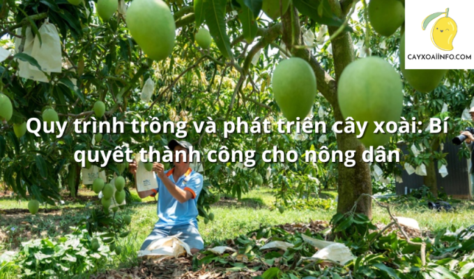 Quy trình trồng và phát triển cây xoài: Bí quyết thành công cho nông dân