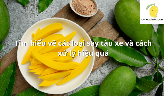 Tìm hiểu về các loại say tàu xe và cách xử lý hiệu quả