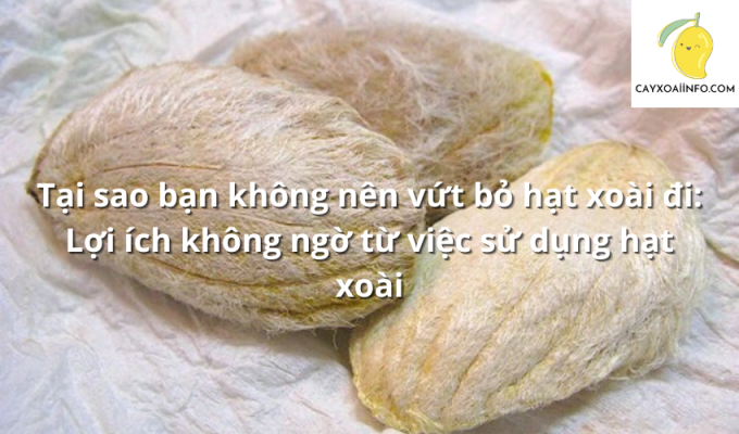 Tại sao bạn không nên vứt bỏ hạt xoài đi: Lợi ích không ngờ từ việc sử dụng hạt xoài