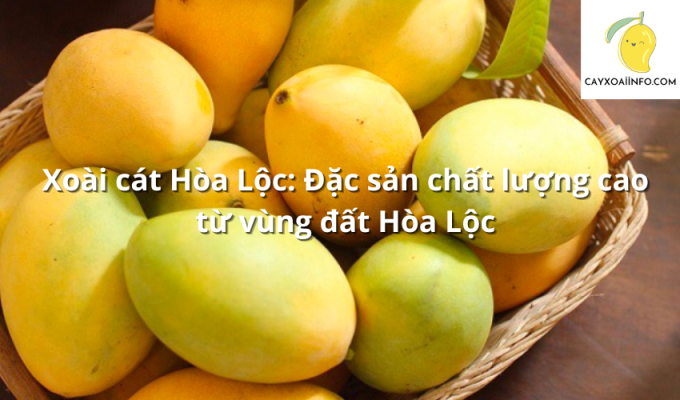 Xoài cát Hòa Lộc: Đặc sản chất lượng cao từ vùng đất Hòa Lộc