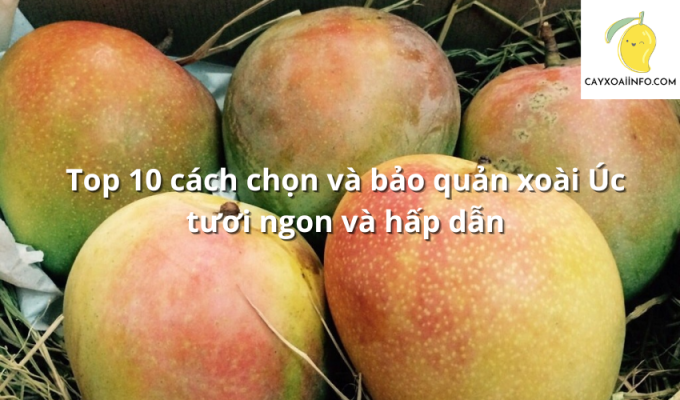 Top 10 cách chọn và bảo quản xoài Úc tươi ngon và hấp dẫn